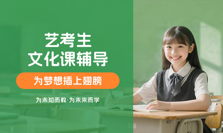 艺术生文化课辅导
