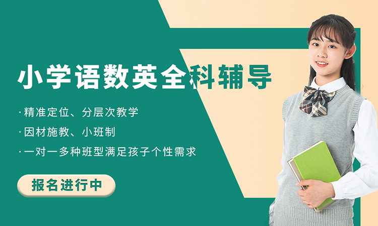 小学语数英全科辅导